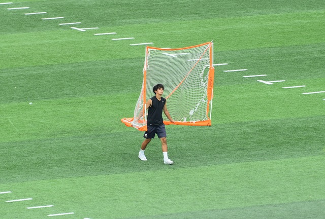 将格雷戈尔
